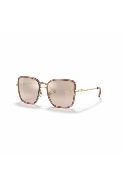 Versace Butterfly Patterned Gold Metal Women's Sunglasses - Ve 2247d 14837ı 57