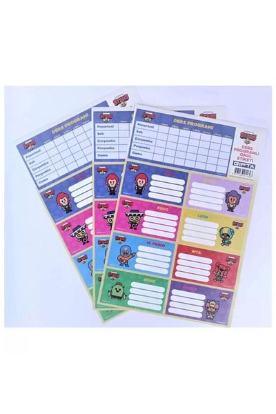 Gıpta School Label Brawl Star Lesson Programmed 16X24 3 Yp