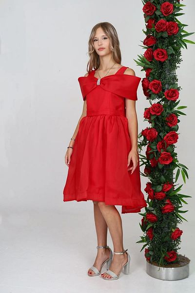 Wild Flower Girls' Evening Dress Girls' Dress Girls' Birthday Party Dress