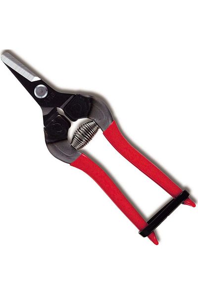 Ars 160mm 310-t Fruit Picking Scissors