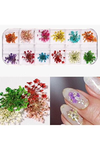 Nail Master Gerçek Kuru Süsleme Çiçekleri 12'li Nail Art 3d