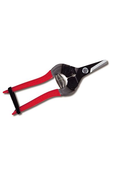 Ars 160mm 310-t Fruit Picking Scissors