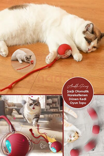Anadolu Saray Şarjlı Otomatik Hareketli Kedi Köpek İçin Şarjlı 360 Derece Dön...