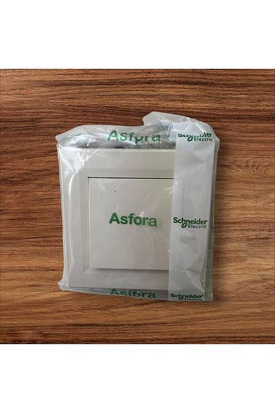 Schneider Electric Asfora Series Cream Colored Single Switch