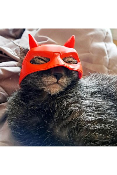 WELLCUT Superhero Cat Mask - Fun Accessory for Your Furry Friends