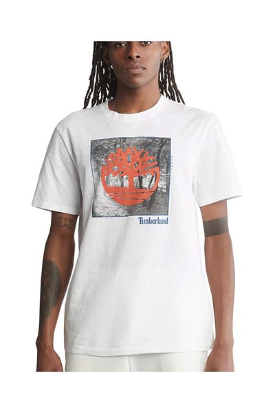Timberland Ανδρικό T-Shirt - Καθημερινή χρήση, Πολύχρωμο T-shirt