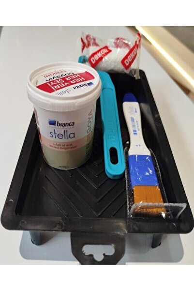 Bianca Stella Mini Dönüşüm Boyası 100 Ml Tava Rulo Fırça Set