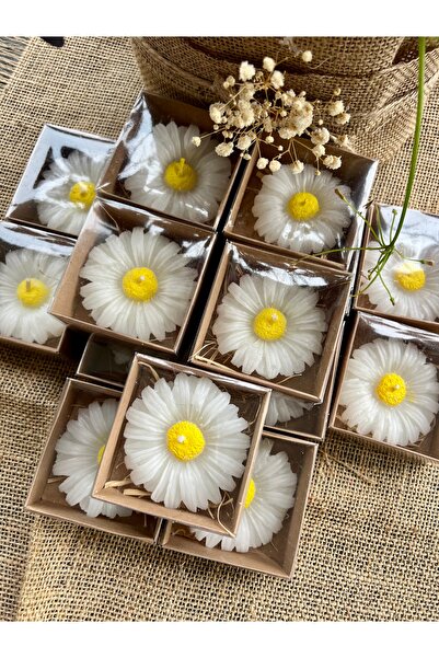 Larmina Decoration 20 Daisy Box Baby Gifts