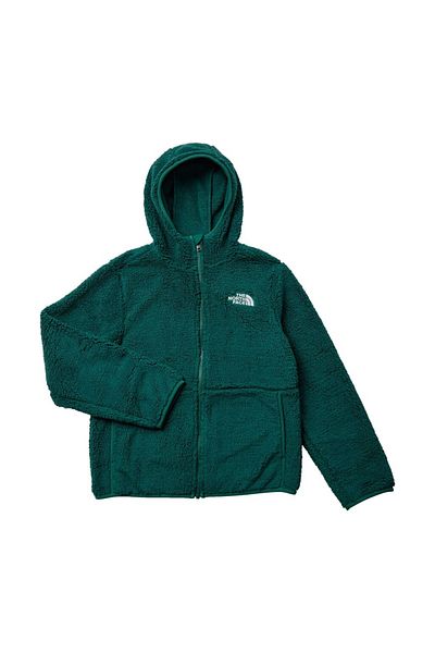 THE NORTH FACE Campshire Hooded Sweatshirt - Green, Youth Kids, F/Z, Nf0A89Kbnl11