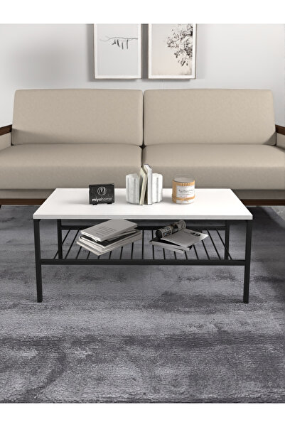 moniev 2 Raflı Metal Orta Sehpa Dekoratif Sehpa Lüx Metal Raflı Sehpa İki Kat...