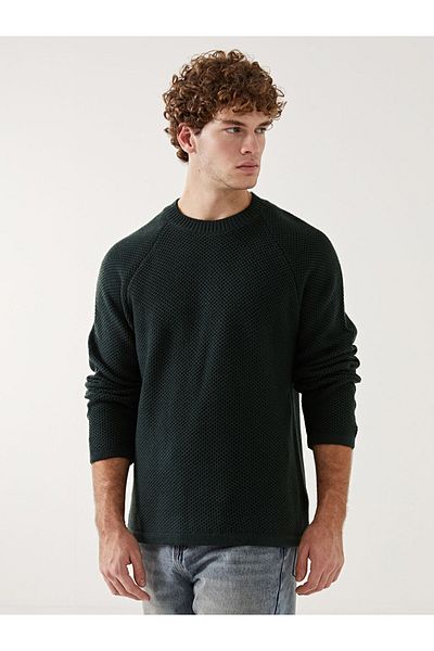 LC Waikiki Crew Neck Men's Knitwear Sweater