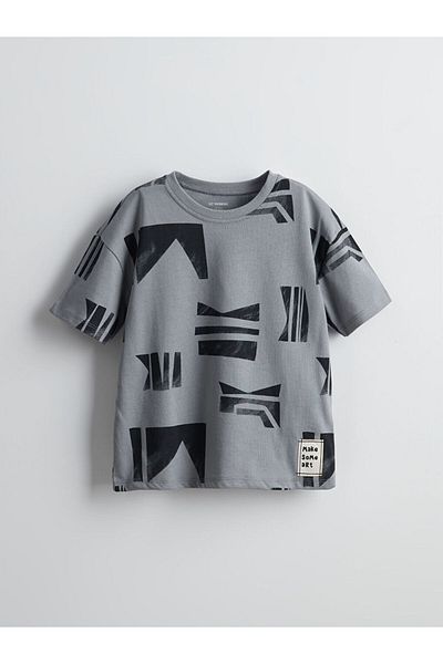 LC Waikiki Crew Neck Printed Boy's T-Shirt