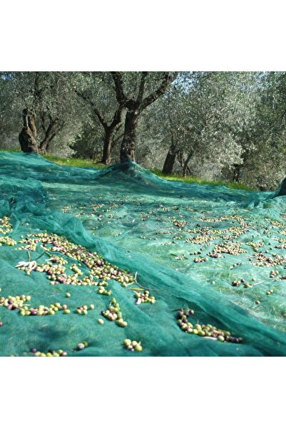 TORSAN Dut Filesi – Yüzde 75lik – Yeşil – Şeritli Halkalı - 5 Metre x 8 Metre