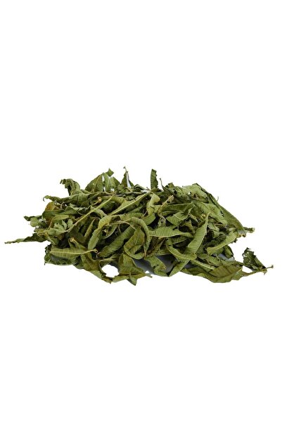 LokmanAVM نبات بلسم الليمون الطبيعي شاي عشبة الليمون شاي عشبي طبيعي نقي 100 جرام