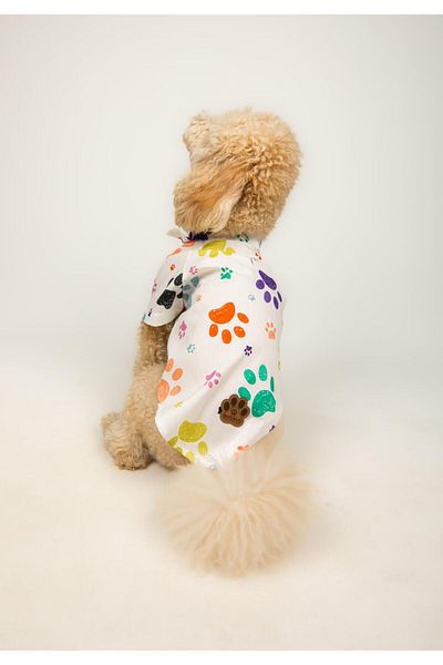 Buf & Buf Paw Pal - Summer Cat Dog Shirt Small Medium Breed Custom Printed