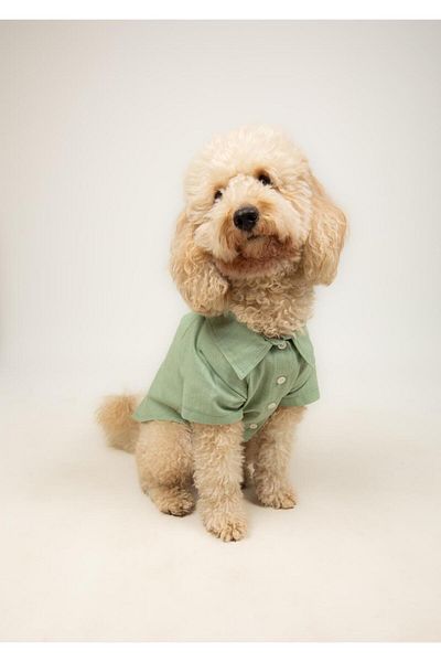 Buf & Buf Wild - Summer Linen Cat Dog Shirt Small Medium Breed