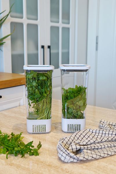 EVLE Greenery Storage Container 2-Piece Eco Set 1.7 Liter