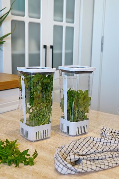 EVLE Greenery Storage Container 2-Piece Eco Set 1.7 Liter