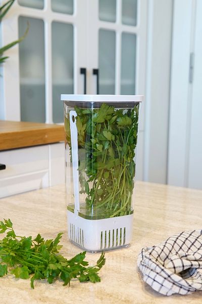 EVLE 1700 ml Greenery Storage Container