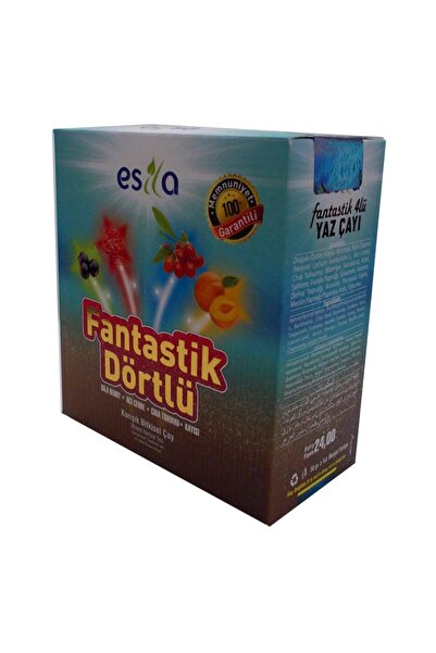 ESİLA Esila Fantastik Dörtlü Yaz Karışık Bitki Poşet Çayı 45li Çay