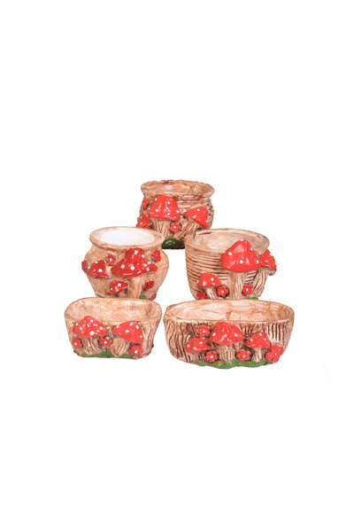 SAMESA HEDİYELİK DEKORATİF 5'Lİ RETRO MANTAR SUKULENT VE KAKTÜS SAKSI SETİ, S...