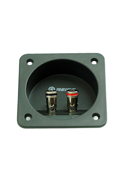 Reiss REİSS AUDİO RS-SPT2 2Lİ SUBWOOFER TERMİNAL