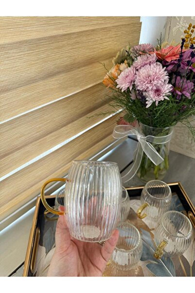 Glow Ay 6'lı Gold Kulplu, Çizgili Cam Kupa Bardak