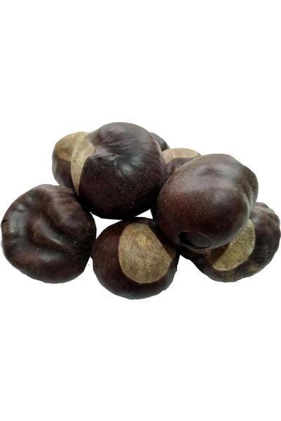 LokmanAVM Doğal At Kestanesi Meyvesi Tane Atkestanesi Bitkisi 100gr