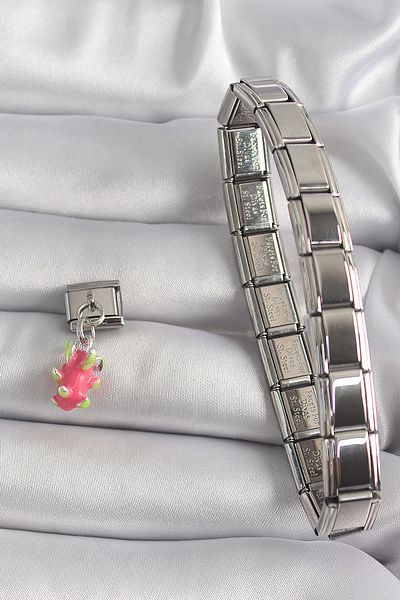 Skygo 316L Steel Silver Dragon Fruit Model Nomination Charm - Tj-Bc1175