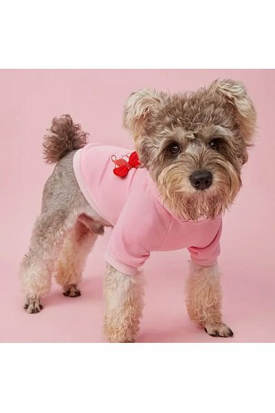 Proxy Paws Valentine's Pink Hooded Sweatshirt
