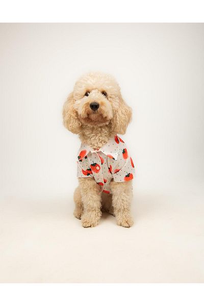 Buf & Buf Straw Paw - Summer Cat Dog Shirt Small Medium Breed Custom Printed