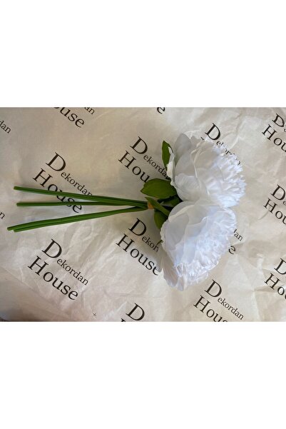 Dekordan House Beyaz Açmış Şakayık