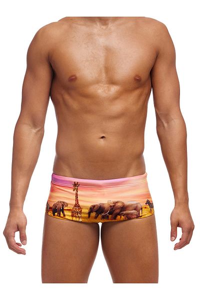 Funky Trunks Circle of Life Men's Training Swimsuit, 14cm Trunks