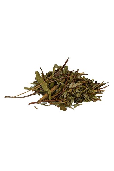 LokmanAVM Doğal Söğüt Yaprağı Saf Söğüt Ağacı Yaprak 100 GR Paket