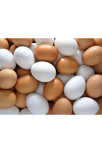LRS STORE 30 Pieces of Plastic Chicken Egg Toys, Painting Eggs in the Net, Pa...