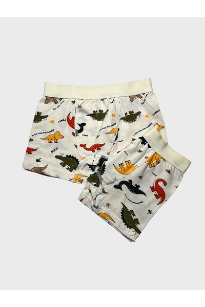 elmas kids Boy's 100% Cotton Wide Elastic Dinosaurs Print White 2-Piece Boxers
