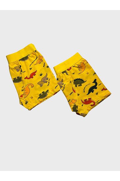 elmas kids Боксерки за момче, 100% памучни, широки, еластични, с шарка на динозаври, жълти, 2 броя