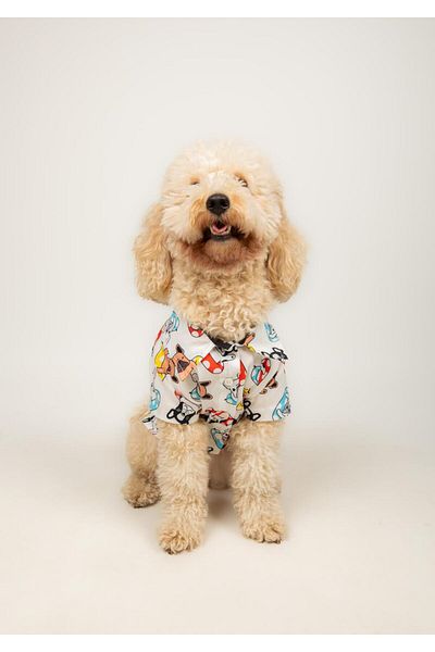 Buf & Buf Aqua Paws - Summer Cat Dog Shirt Small Medium Breed Custom Printed