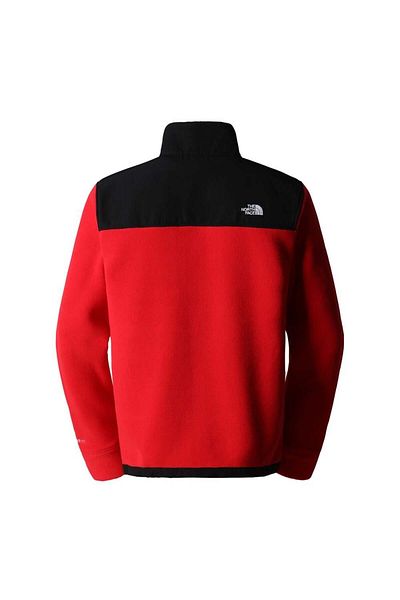 THE NORTH FACE Alpine Polartec 200 Fz Jacket Men's Fleece