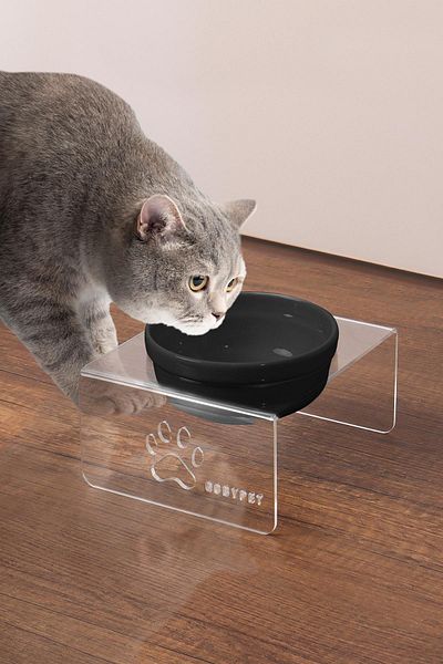 GOBYPET Single Ceramic Decorative Cat and Dog Plexiglass Food & Water Bowl Cat Mat
