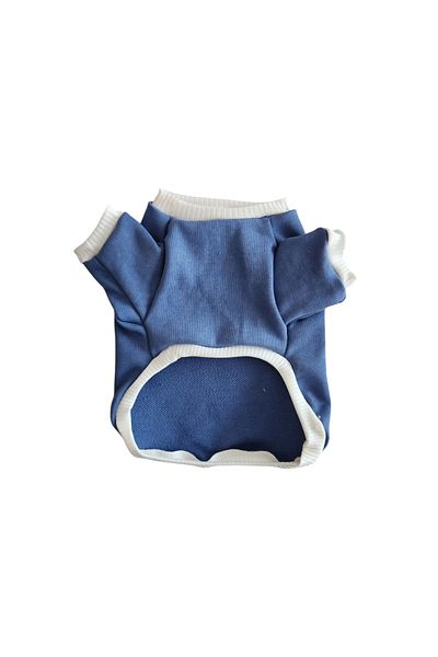 atelyu Cat Dog Suit Indigo Blue Omg Printed Sweatshirt