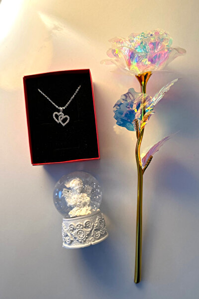 Saltos Kar Küresi Kalpli Kolye Solmayan Gül Hediye Seti Sevgiliye Hediye Doğu...