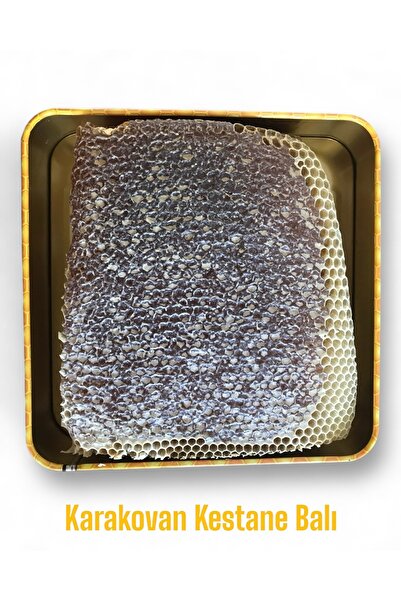 Ballivane Organik Karakovan Kestane Balı 1 Kg. [yeni Sezon]