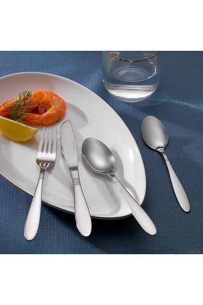 Schafer Sheen 24 Piece Fork Spoon Knife Set-silver24