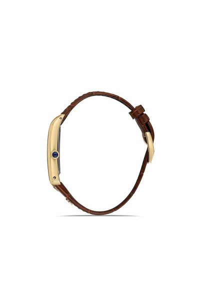 Momentus Cm365G-02Kg Men's Wristwatch