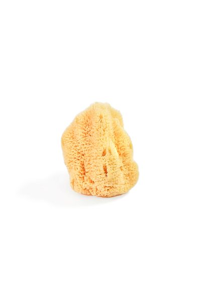 Levand 100% Natural Sea Sponge Baby Size (Small Size)