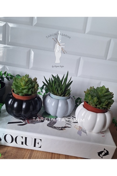 TARÇIN TASARIM El Yapımı 3'lü Kabak Tasarımlı Mini Dekoratif Saksı (Kaktüs da...