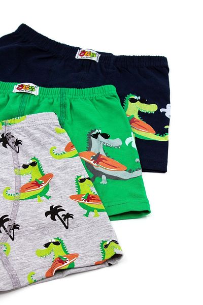 Öts Boy's 3-Piece Colorful Dinosaur Printed Cotton Lycra Boxer