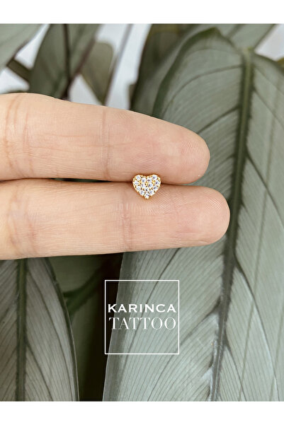 Karınca Piercing Kalp Taşlı Elit Cerrahi Çelik Piercing 6 mm Kulak Flat Forward Helix Kıkırdak Tragus Küpe