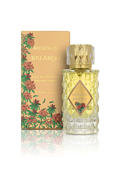 nurxos Kalanşo Edp 65 ML – Baharatlı Odunsu Erkek Parfümü -9708
